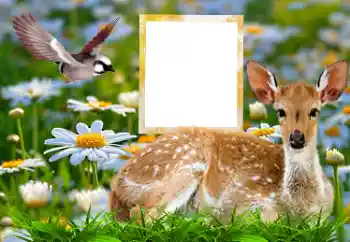 Foto Effekt från kategori Olika № 185878