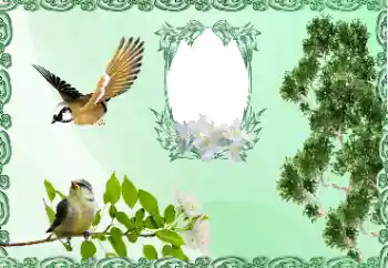 Foto Effekt från kategori Olika № 185981 Foto Effekt från kategori Olika № 185981