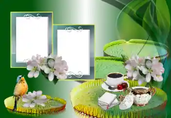 Foto Effekt från kategori Olika № 185988 Foto Effekt från kategori Olika № 185988