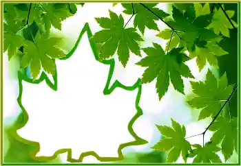 Foto Effekt från kategori Olika № 186022 Foto Effekt från kategori Olika № 186022