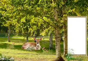 Foto Effekt från kategori Olika № 187041 Foto Effekt från kategori Olika № 187041