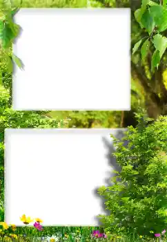 Foto Effekt från kategori Olika № 189416