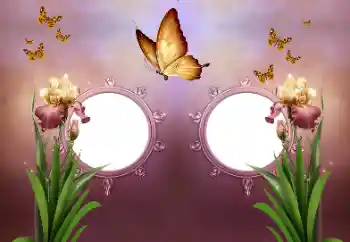 Foto Effekt från kategori Olika № 191737