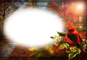 Foto Effekt från kategori Olika № 191759