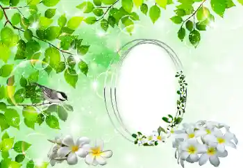 Foto Effekt från kategori Olika № 196398