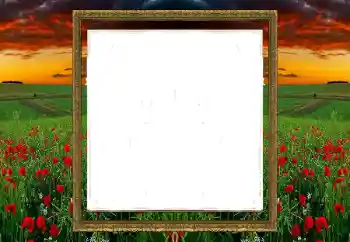 Foto Effekt från kategori Olika № 196520