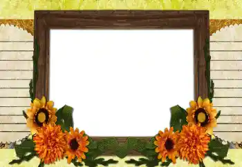 Foto Effekt från kategori Olika № 196538