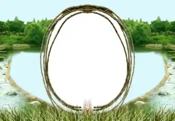 Foto Effekt från kategori Olika № 196571