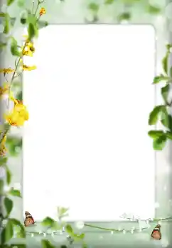 Foto Effekt från kategori Olika № 198822