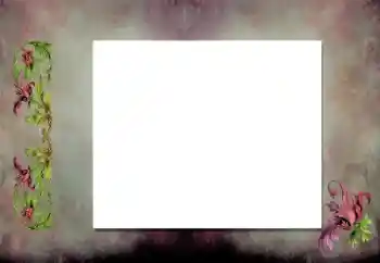 Foto Effekt från kategori Olika № 198919