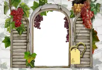 Foto Effekt från kategori Olika № 20247