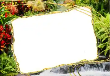 Foto Effekt från kategori Olika № 20271