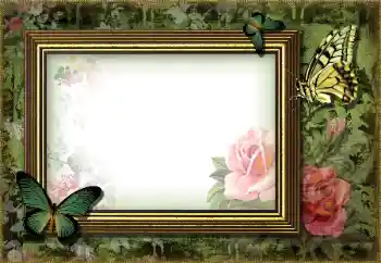 Foto Effekt från kategori Olika № 203270