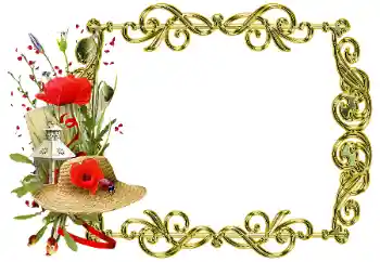 Foto Effekt från kategori Olika № 205358