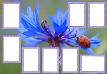 Foto Effekt från kategori Olika № 205529