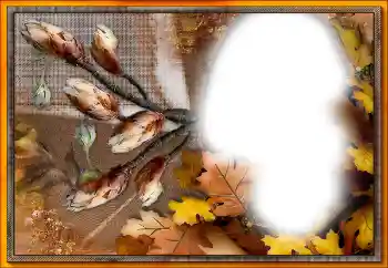 Foto Effekt från kategori Olika № 205533