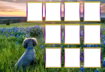 Foto Effekt från kategori Olika № 205604