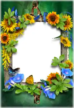 Foto Effekt från kategori Olika № 205611