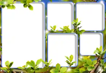 Foto Effekt från kategori Olika № 205792