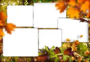 Foto Effekt från kategori Olika № 205794