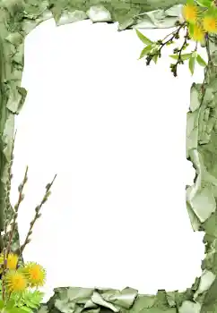 Foto Effekt från kategori Olika № 205798