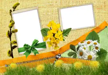 Foto Effekt från kategori Olika № 24285 Foto Effekt från kategori Olika № 24285