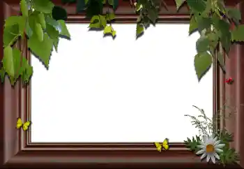 Foto Effekt från kategori Olika № 24288 Foto Effekt från kategori Olika № 24288