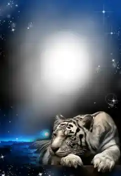 Foto Effekt från kategori Olika № 24304 Foto Effekt från kategori Olika № 24304