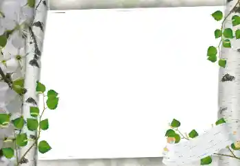 Foto Effekt från kategori Olika № 24319 Foto Effekt från kategori Olika № 24319