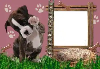 Foto Effekt från kategori Olika № 24550