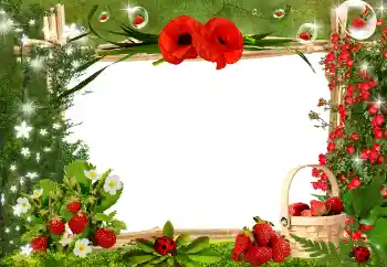 Foto Effekt från kategori Olika № 25445