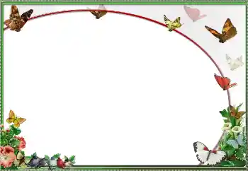 Foto Effekt från kategori Olika № 25484