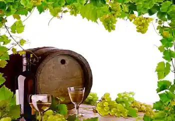 Foto Effekt från kategori Olika № 26443 Foto Effekt från kategori Olika № 26443