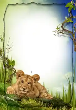 Foto Effekt från kategori Olika № 26572 Foto Effekt från kategori Olika № 26572