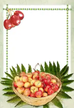 Foto Effekt från kategori Olika № 2657