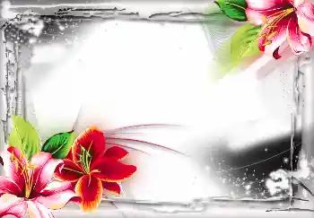 Foto Effekt från kategori Olika № 2804