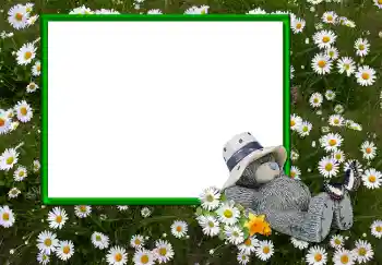 Foto Effekt från kategori Olika № 2893