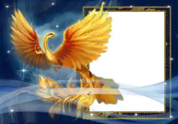 Foto Effekt från kategori Olika № 3018