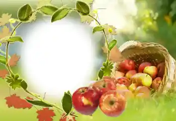 Foto Effekt från kategori Olika № 34029