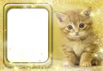 Foto Effekt från kategori Olika № 3412