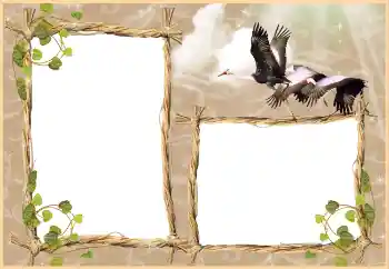 Foto Effekt från kategori Olika № 3430