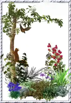 Foto Effekt från kategori Olika № 34798