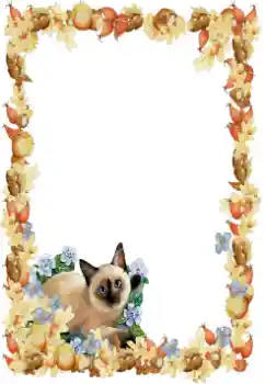 Foto Effekt från kategori Olika № 34851