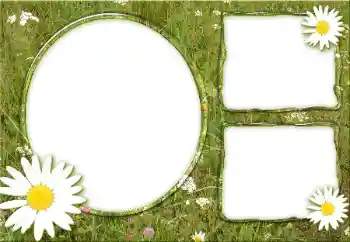 Foto Effekt från kategori Olika № 34932