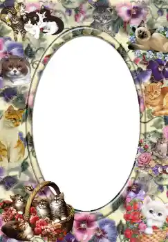 Foto Effekt från kategori Olika № 3702