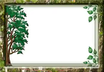 Foto Effekt från kategori Olika № 3732 Foto Effekt från kategori Olika № 3732