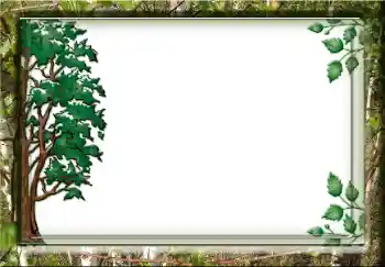 Foto Effekt från kategori Olika № 38357