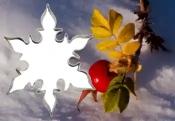 Foto Effekt från kategori Olika № 38548 Foto Effekt från kategori Olika № 38548