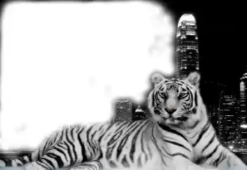 Foto Effekt från kategori Olika № 38947 Foto Effekt från kategori Olika № 38947