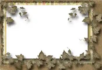 Foto Effekt från kategori Olika № 39069 Foto Effekt från kategori Olika № 39069